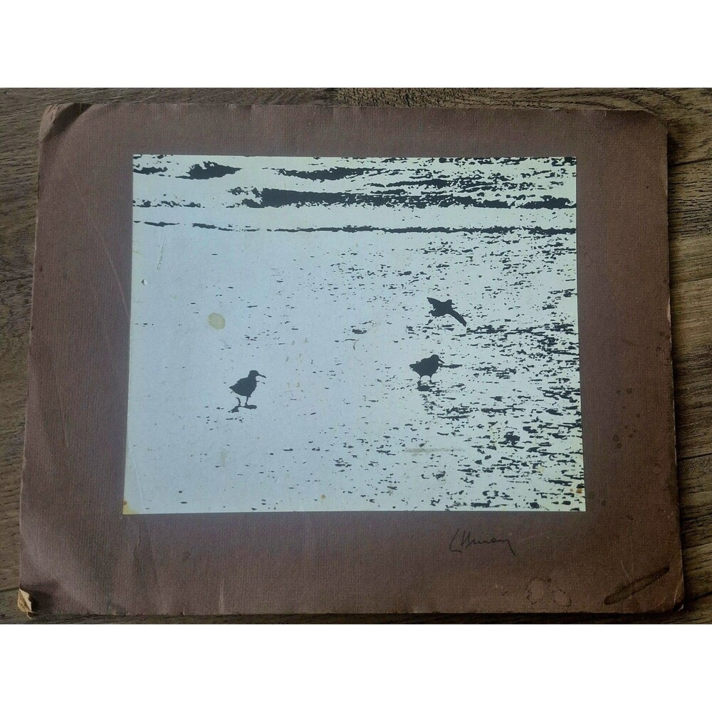 Vintage 1970s Leonard Nimoy Matted Fine Art Photography Print - Beach And Birds